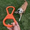 Chew Toys