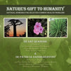 Nature's Gift to Humanity: Natural Remedies for Selected Common Health Problems - Paperback