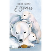 Here Come the Bears - Hardcover