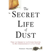 The Secret Life of Dust: From the Cosmos to the Kitchen Counter, the Big Consequences of Little Things - Hardcover