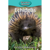 Echidnas - Paperback