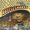 Rattlesnakes - Paperback