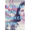 A Room with a Darker View: Chronicles of My Mother and Schizophrenia - Paperback