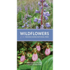 Wildflowers of the Indiana Dunes National Park - Paperback