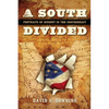 A South Divided: Portraits of Dissent in the Confederacy - Hardcover