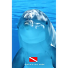 Diver's Log Book: scuba diving log book 100 dives - Paperback