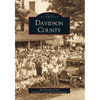 Davidson County - Paperback