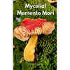 Mycelial Memento Mori - Paperback