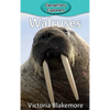 Walruses - Hardcover