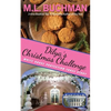 Dilya's Christmas Challenge: a White House Protection Force story - Paperback