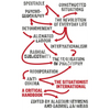 The Situationist International: A Critical Handbook - Paperback