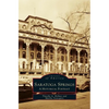 Saratoga Springs: A Historical Portrait - Hardcover
