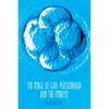 The Image of God, Personhood and the Embryo - Paperback