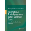 International Trade Agreements Before Domestic Courts: Lessons from the EU and Brazilian Experiences - Paperback