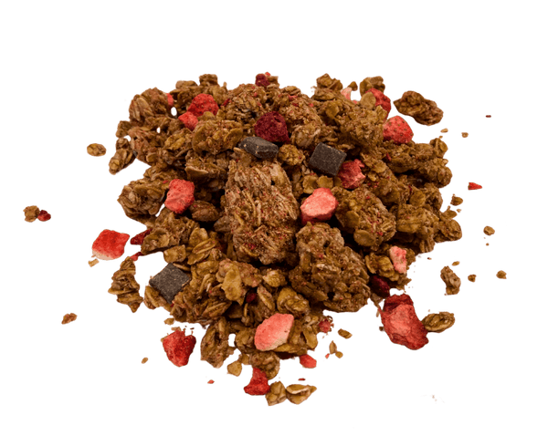 Granola, Dark Chocolate & Red Berries, Nature's Path