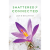 Shattered to Connected - Paperback