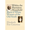 Within the Plantation Household: Black and White Women of the Old South - Paperback