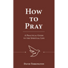 How to Pray: A Practical Guide to the Spiritual Life - Paperback