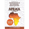 Casebook of Indigenous Business Practices in Africa: Apprenticeship, Craft, and Healthcare - Volume 1 - Hardcover