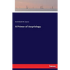 A Primer of Assyriology - Paperback