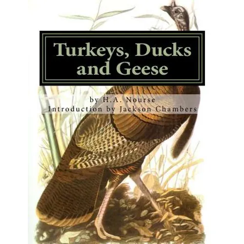 Turkeys, Ducks and Geese: Breeding, Hatching and Rearing For Pleasure or Profit - Paperback