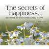 365 Secrets of Happiness: Do More of What Makes You Happy - Spiral