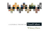 A General Theory of Visual Culture - Paperback