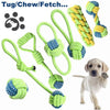 Outdoor Training Toy for Dogs