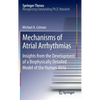 Mechanisms of Atrial Arrhythmias: Insights from the Development of a Biophysically Detailed Model of the Human Atria - Hardcover