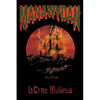 Manawydan - Paperback