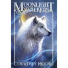 Moonlight Walkers: Forbidden Lands (Book 1) - Hardcover