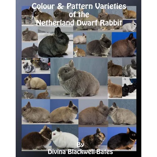 Colour & Pattern Varieties of the Netherland Dwarf Rabbit - Paperback