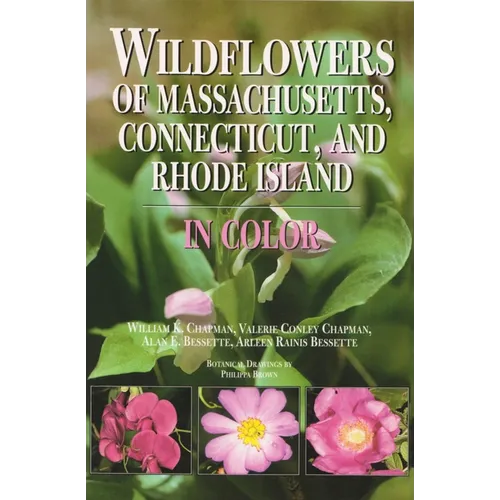 Wildflowers of Massachusetts, Connecticut, and Rhode Island in Color - Paperback