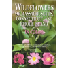 Wildflowers of Massachusetts, Connecticut, and Rhode Island in Color - Paperback