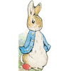 All about Peter - Board Book