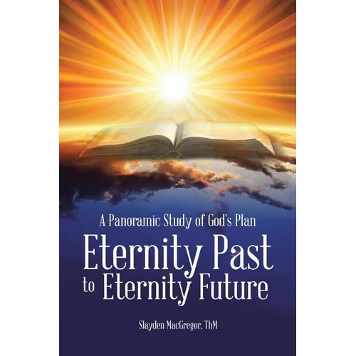 A Panoramic Study of God's Plan: Eternity Past to Eternity Future - Paperback