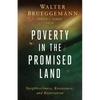 Poverty in the Promised Land: Neighborliness, Resistance, and Restoration - Paperback
