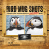 Bird Mug Shots: A Unique Look at North America's Most Wanted Birds - Paperback