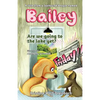 A Tale From A Fox Hound Beagle Named Bailey: Are we going to the lake yet? - Paperback