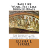 Hair Like Wool, Feet Like Burned Brass: The Color of Jesus, and Burning Truths Concerning the Messiah - Paperback