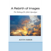 A Rebirth of Images - Paperback
