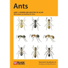 Ants - Paperback