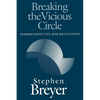 Breaking the Vicious Circle: Toward Effective Risk Regulation - Paperback