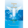 Odyssey with the Angels: A Reconciliation with Life - Paperback