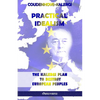 Practical Idealism: The Kalergi Plan to destroy European peoples - Paperback