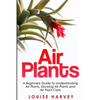 Air Plants: A Beginners Guide To Understanding Air Plants, Growing Air Plants and Air Plant Care (Booklet) - Paperback