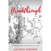 Breakthrough: Career Strategies for Women's Success - Paperback
