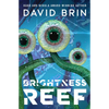 Brightness Reef - Paperback