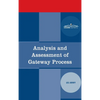 Analysis and Assessment of Gateway Process - Hardcover