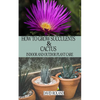 How to Grow Succulents and Cactus: Indoor and Outdoor Plant care - Paperback